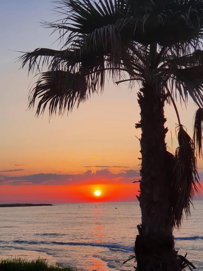 Ferienwohnung in Torrevieja ca100m vom Strand Playa del Cura entfernt Exterior foto